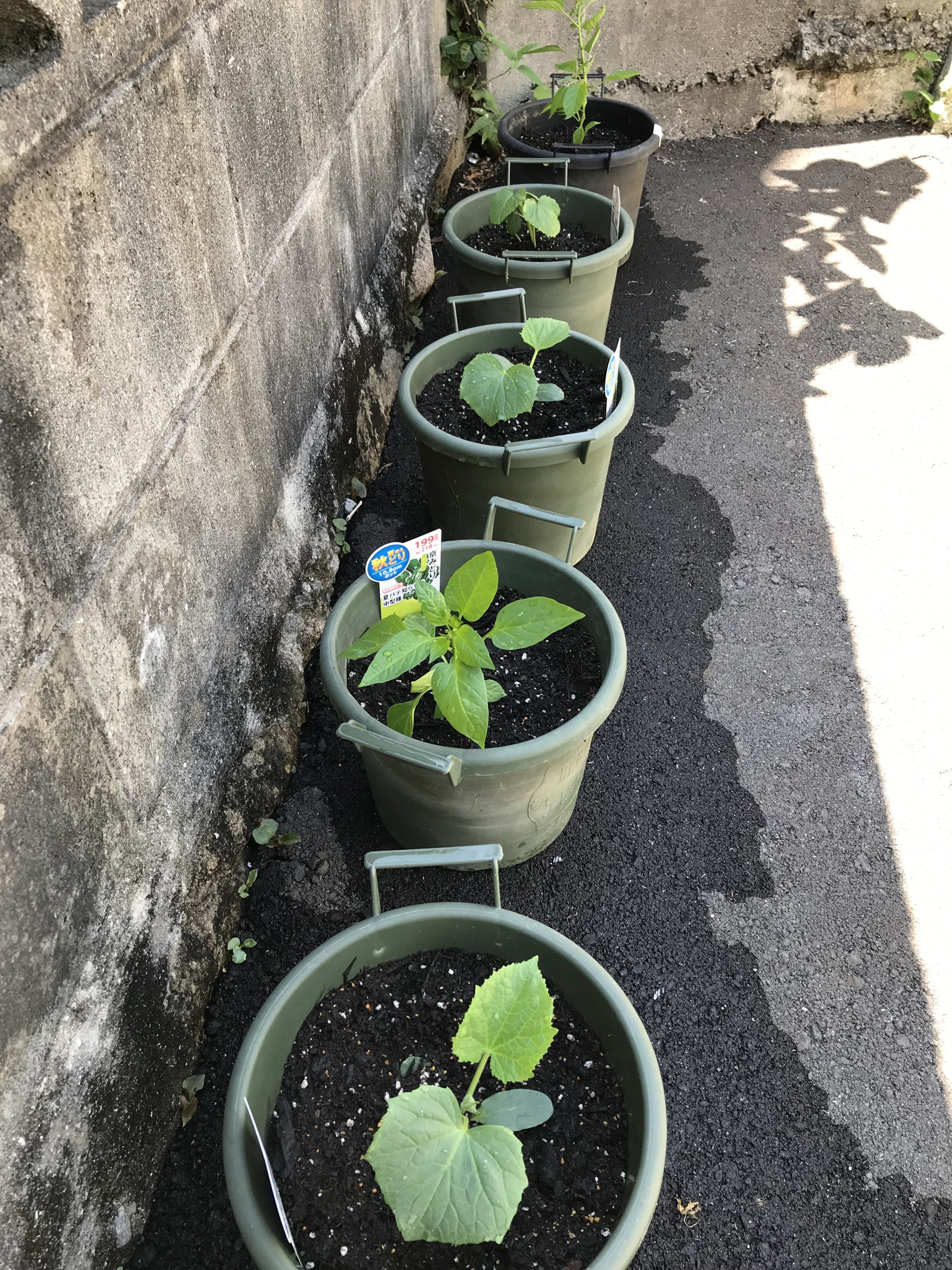 合同会社まほろば